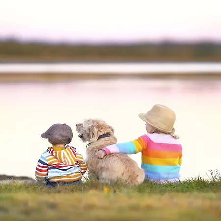 Zuversicht Am Krakower Komfort&wellness Mit Seeblick Krakow am See