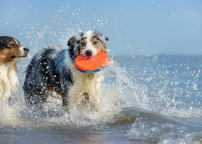 Appartement Zuversicht Am Krakower Komfort & Wellness Mit Seeblick *